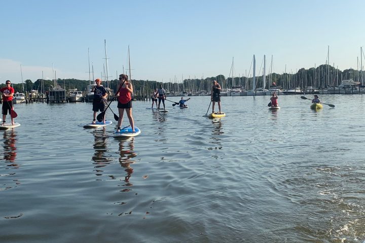 a group of people that are standing in the water