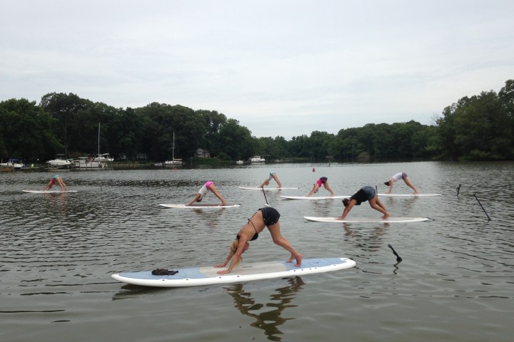 People doing yoga poses on paddleboards in a calm lake.