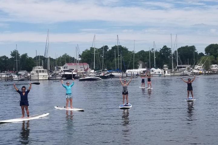 a group of people swimming in a body of water