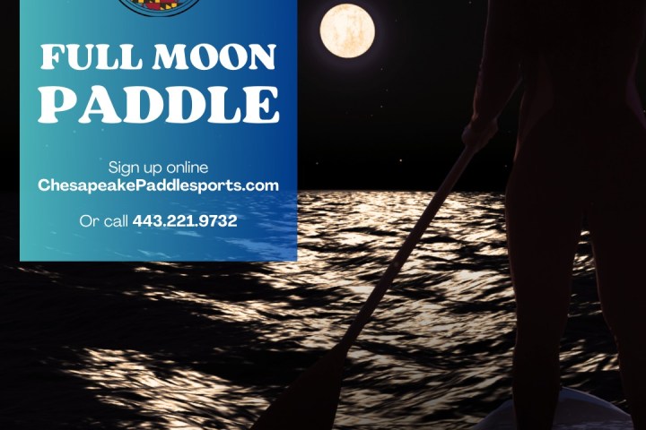 a person holding a sign